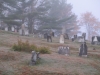 cemetery_in_fog2